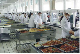 阳江学校食堂承包